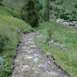 Strade forestali